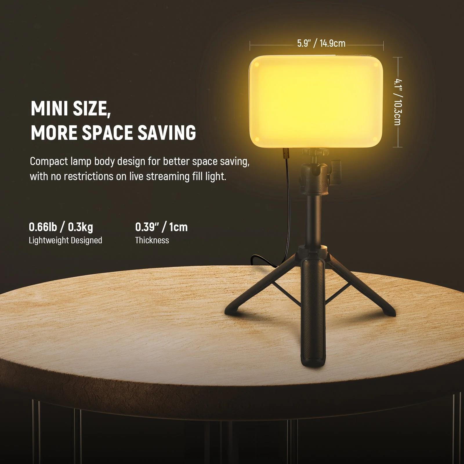NEEWER BASICS BP66 LED Panel Light with Mini Desk Stand - Image 22