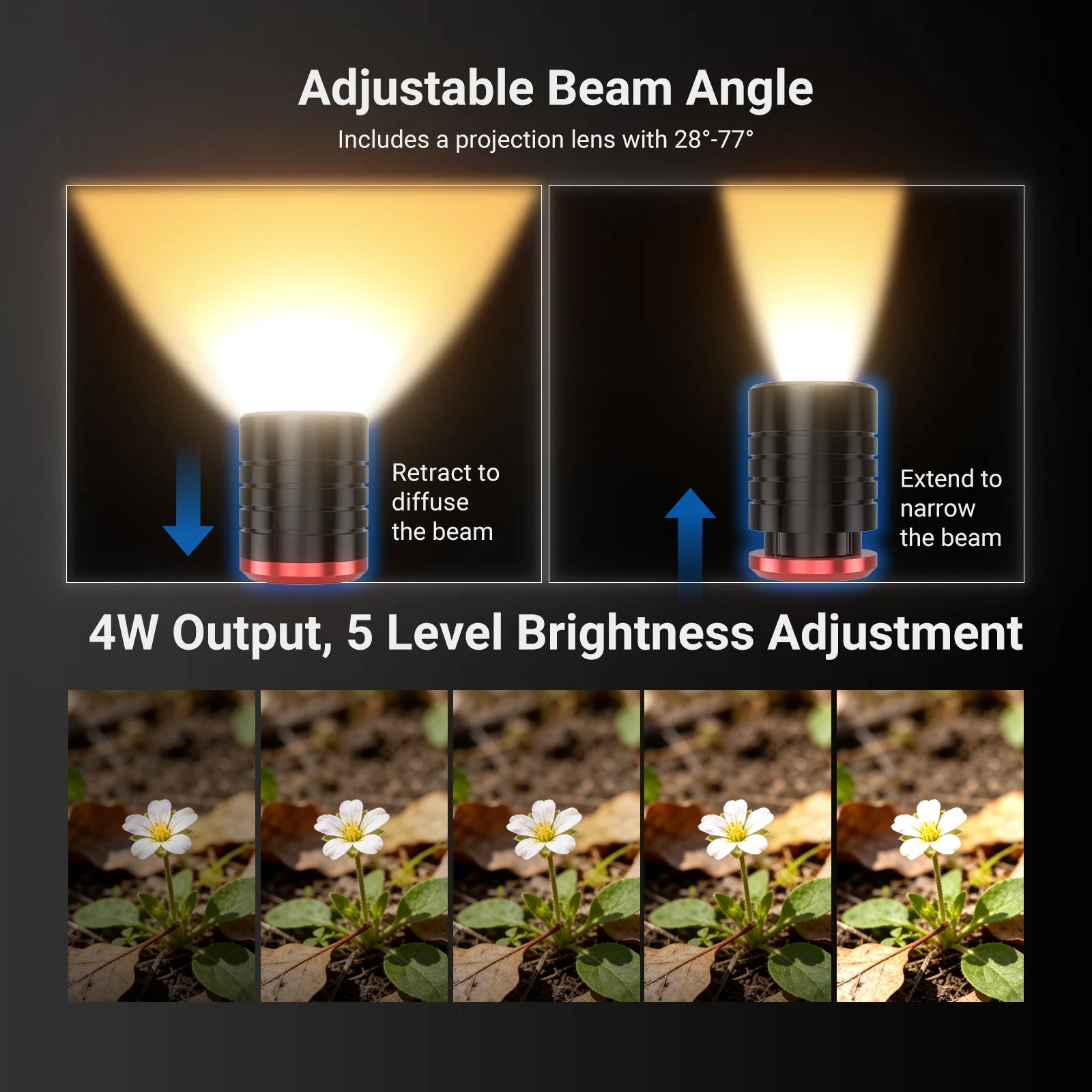 NEEWER BASICS ML01 LED Light for Macro Photography - Image 3