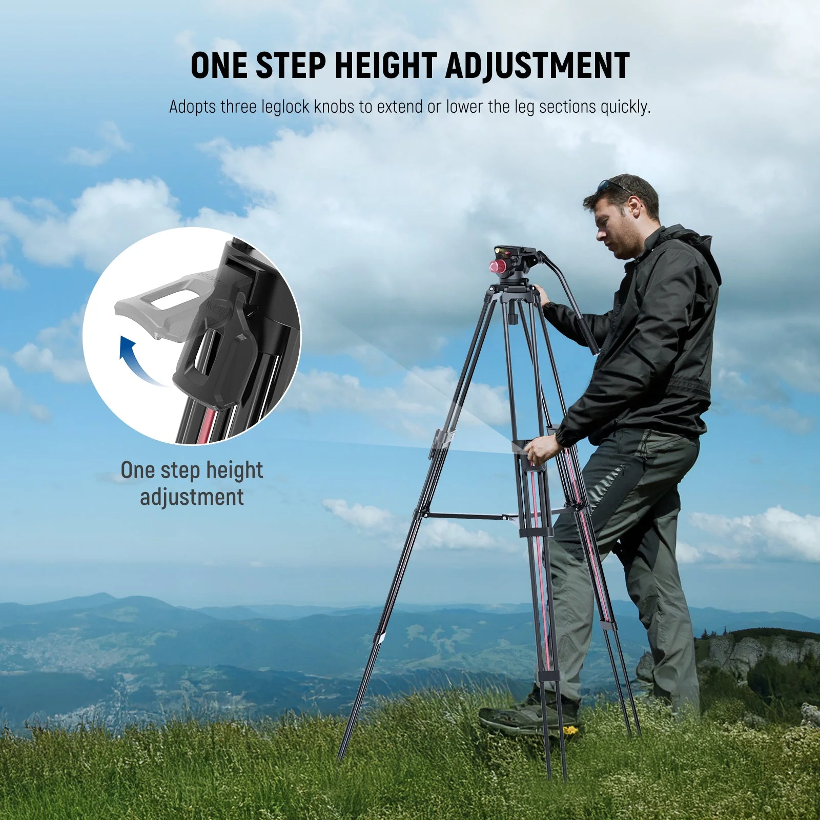NEEWER LL38 79" Camera Tripod Quick Release with Fluid Head - Image 3