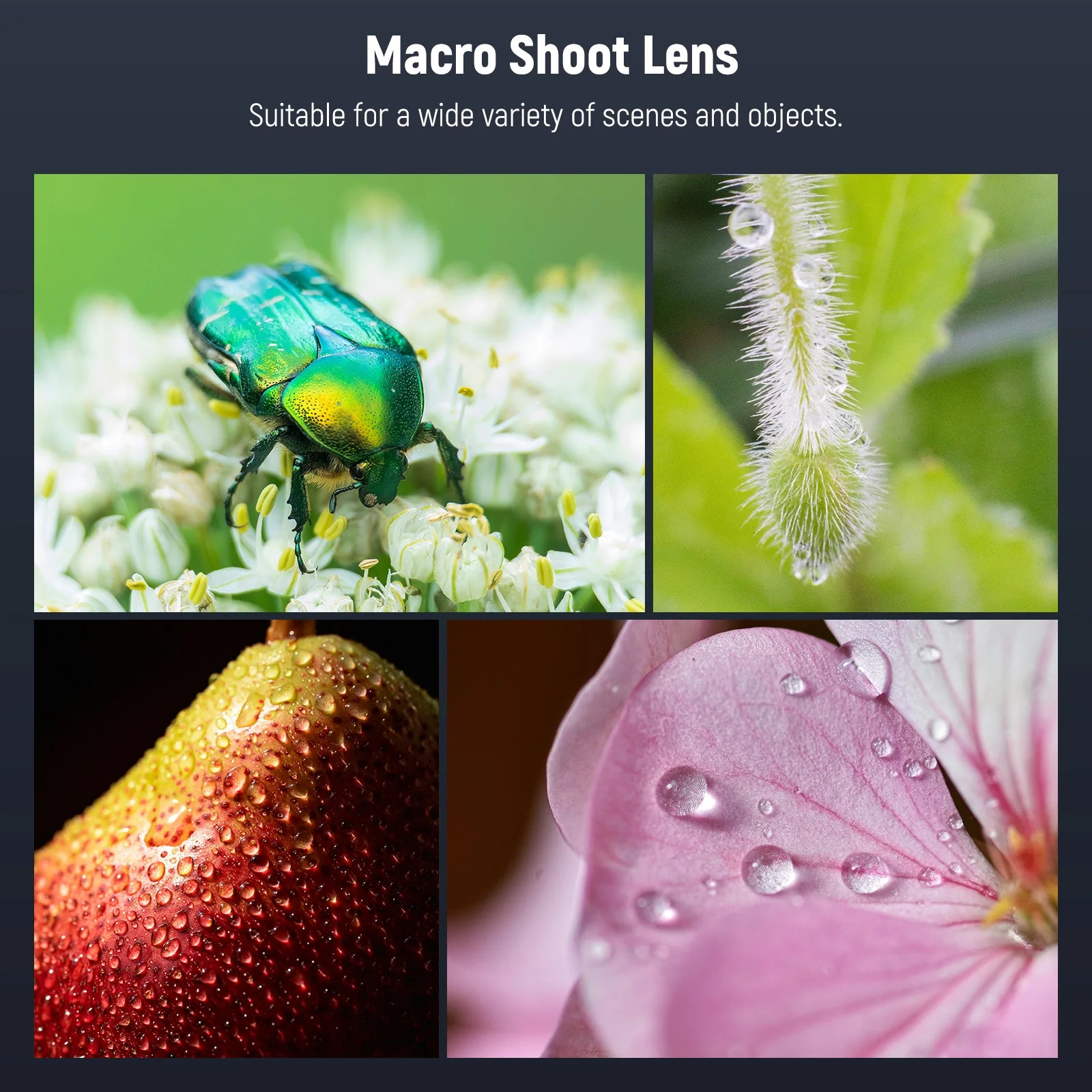 NEEWER LS-26 PRO 105mm Macro Lens with 17mm Thread & 67mm Filter Adapter - Image 4