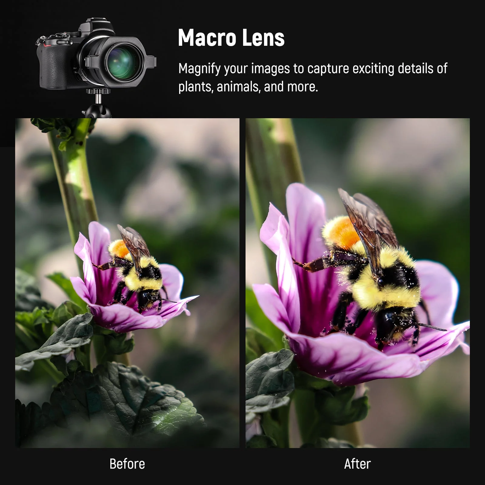 NEEWER LS-40 43mm HD Macro Lens - Image 3