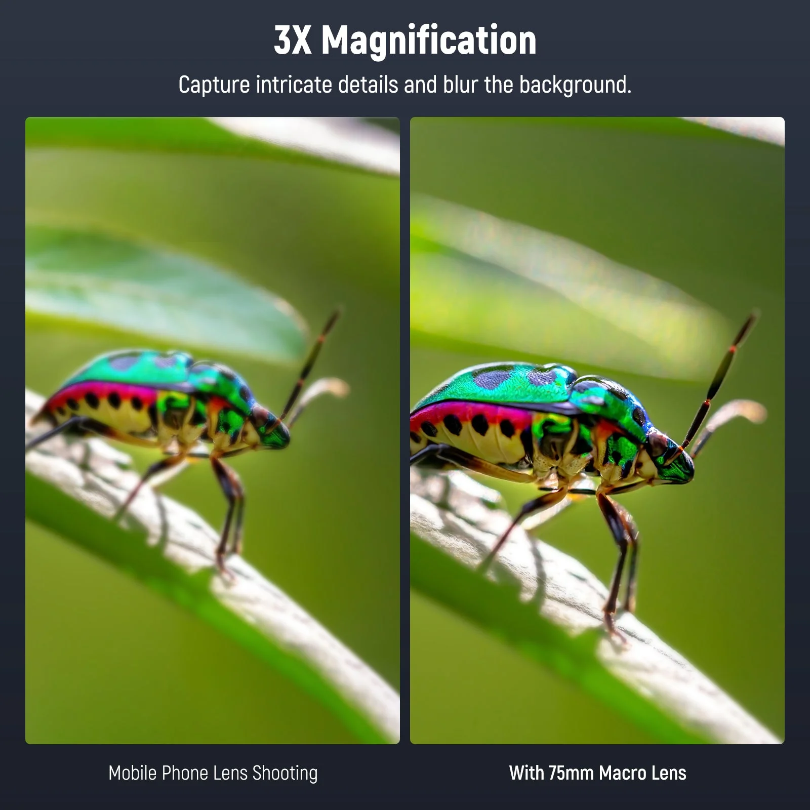 NEEWER LS-73 75mm Macro Phone Lens with 17mm Threaded Clip - Image 3