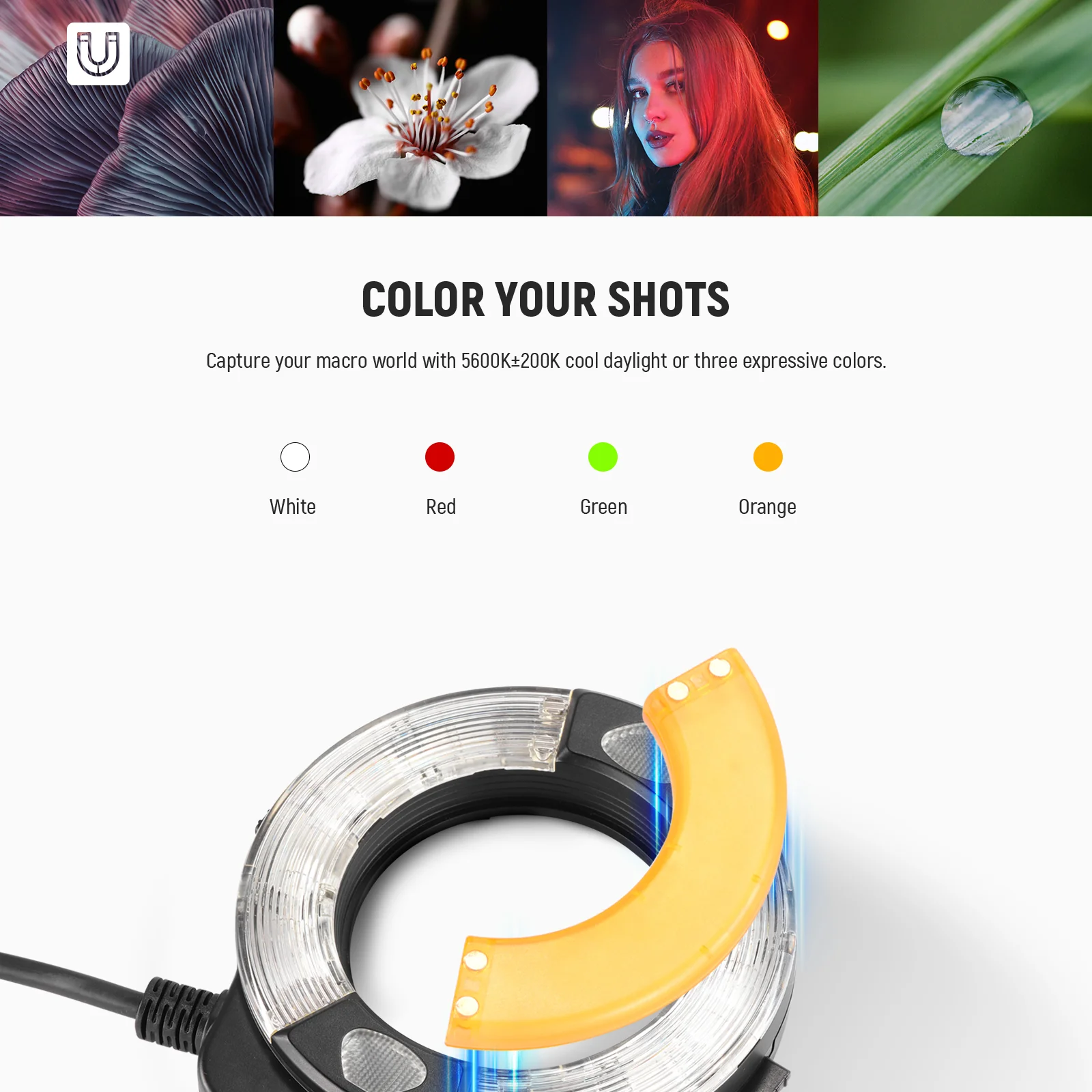 NEEWER RF1-C/N/S 76Ws TTL Marco Ring Flash with Gels & Adapter Rings - Image 8